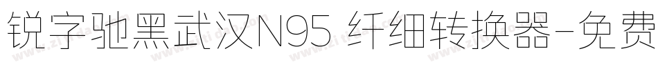 锐字驰黑武汉N95 纤细转换器字体转换